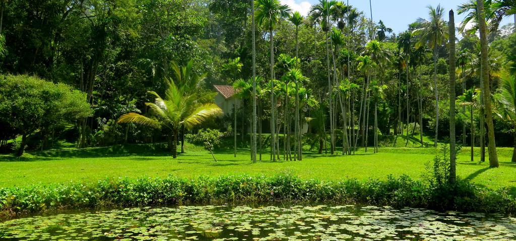 Siri Wedamadura Villa Weligama Pokoj fotografie